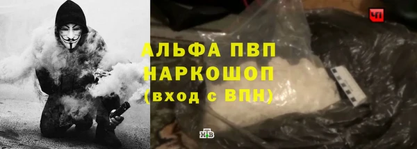 дживик Гусев