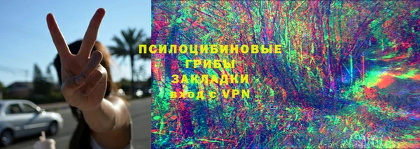 дживик Гусев