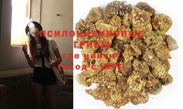jwh Гусь-Хрустальный