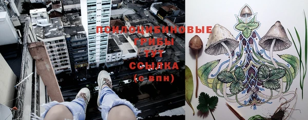дживик Гусев