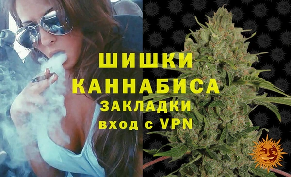 дживик Гусев
