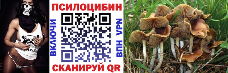 блэк спрут ссылка  Мезень  Галлюциногенные грибы GOLDEN TEACHER  маркетплейс формула  даркнет сайт 